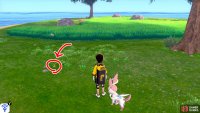 3/11: From Diglett 2, turn 180 degree so the mainland is behind you. Walk up to the nearby tree that’s ahead. Then look to your left. It’s pretending to be a pebble a few paces away.