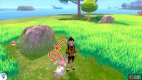 5/11: From Diglett 3, go up to the nearest tree; you should be walking in the direction of the mainland. To the left of this tree is a boulder surrounded by some tall grass. The Diglett is just in front of the boulder.
