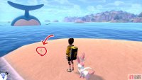 6/11: From the island where Diglett 2~5 were hiding, turn so the mainland is facing your right. Then swim towards the rocky island that’s slightly on the left. Go past that island, to the islet just ahead to find your prey. There may be a Wailord nearby.