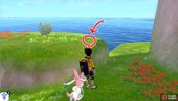 8/11: From Diglett 7, face the mainland and turn slightly left. There should be two islands not too far away. Swim to the island on the left. It’s where the Galarica Cuff lady is. From the lady, check the raised land on the left.