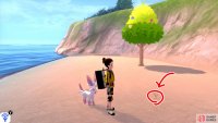 11/11: From the Galarica Cuff lady, enter the sea and turn left. Straight ahead, there’s a small, isolated beach, right where the land begins to stop. The final Diglett is waiting in the sand, to the right of the berry tree.
