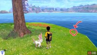 2/7: From Diglett 1, approach the nearby big tree. The second one’s by the edge of the land, next to some pebbles, to the right of the tree.