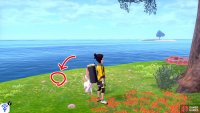 3/7: From Diglett 2, turn around and head for the opposite end of the island, where the second tree is, past the tall grass. It’s next to some pebbles above the red flowerbed to the left of the tree.