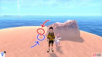 5/7 and 5/6: From the island where Diglett 1~4 are, head for the shore and face the elongated pair of islands (on the right, if you’re facing the mainland). To the left of the pair of islands is an islet that has a boulder (it might look like a blob from here). Swim to the islet. Search to the left of the boulder to find two Diglett.