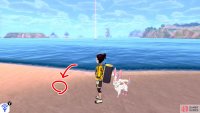 7/7: From the islet where Diglett 5 and 6 are, turn so the mainland is on your left. Directly, there’s a long, sandy island with a boulder on one end and a Pokémon Den on the other. Swim towards that island. Check around the middle of this island.