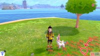 1/6: Start from the Tower of Waters in Challenge Beach. Go to the back of the tower and face away from the tower. Swim straight towards the island with a single tree. Upon arrival, check the red flowers to the right of the berry tree.