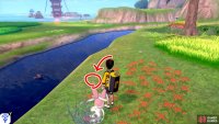 13/20: From Diglett 12, face the direction of the Forest of Focus (the cave should be behind you). Along the left side, there’s low-lying land by the river. Walk past this section and search the red flowerbeds near the river.