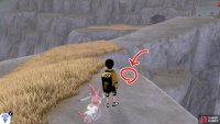 2/8: From the lowlands entrance, go up both flights of stairs. When you reach the crossroad, go straight ahead. Walk around to the back of the tall, yellow grass. It’s by the cliff edge, facing the lowlands entrance.