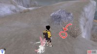 5/8: Head for the central crossroad, where the first oriental lantern is. Go up the slope to the next lantern. Number 5 is hiding near the boulder and vegetation to the right of the second lantern.