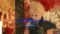 and your commentary on Aerith’s dress all influence which quest you’ll receive later in the chapter.