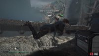 Swim under the water in the crash site to find several chests 