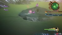 The locations of the last two Namekian Fruits