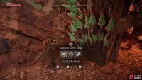 Loot the leader&rsquo;s abode to find a Carja Blazon in a cache,