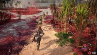 Follow Zo, ignoring machines unless she attacks them.