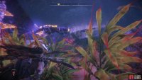 Hide in seaweed to avoid a Snapmaw,