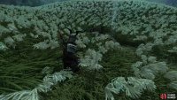 he&rsquo;ll be in the field here requesting Predator Hides