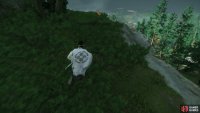 then follow it to a Shrine