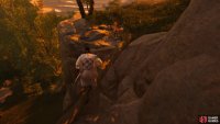 then follow it to a Shrine 