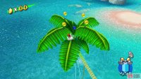 You&rsquo;ll find Blue Coin #8 on top of this tree
