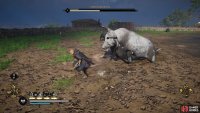 When the Battle-Sow initiates its chain headbutt attack, you&rsquo;re better off running than dodging.