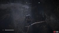 You&rsquo;ll need to jump to the branch jutting out of the rock to reach the other side of the cavern.
