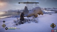 You&rsquo;ll notice the bear&rsquo;s head drag closer to the ground when it is charging.