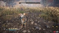 You&rsquo;ll see the charge attack coming as soon as you see a red rune aura when the boar runs away from you.