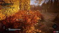 You&rsquo;ll need to sneak into the bushes and assassinate Hildiran when the guards aren&rsquo;t looking, or when they&rsquo;re sleeping after using Thorn of Slumber.