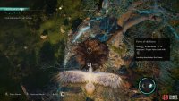 You can use the power to fly to the nest where you&rsquo;ll find the tools.