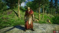 Hreidmar&rsquo;s armor.