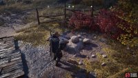 Interact with the stones to begin the mystery.