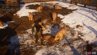 You&rsquo;ll find the key to the cellar in the pig pen outside the house.
