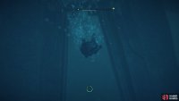 Swim through the doorway to the north once you&rsquo;re underwater.