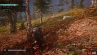 Use Odin&rsquo;s Sight to highlight the corpse of the bear in the northwest of the forest.