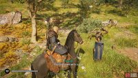 You&rsquo;ll need to take Ermina by horseback to the ruins at the top of the hill.