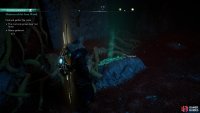 You can highlight the roots by using Odin&rsquo;s Sight within the cave.