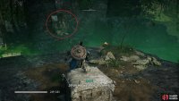Run up the wall behind the chest to begin climbing the tower.