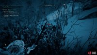 Be sure to use cloudberry bushes for cover to avoid startling the deer.