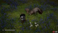 Loot the key from the corpse of the boar.