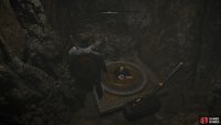 You&rsquo;ll need to take the spherical object after pulling the lever.