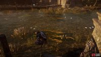 You&rsquo;ll find an abundance of fish along the Wensum River, which you can enter to kill quickly with melee weapons.