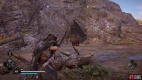 Kill the bear and loot it for its testicles&hellip;