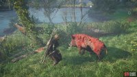 You&rsquo;ll need to follow the boar through the forest as he searches for buried treasure.