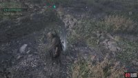 Use Odin&rsquo;s Sight to help you find it!