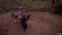 First, you&rsquo;ll need to feed the sheep.