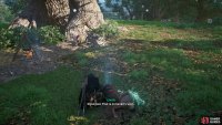 Then you&rsquo;ll need to examine the scene around the large oak tree.