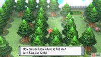 Go north towards the Gym Leader’s area, then west and south into the first dead end.