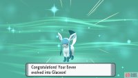 Glaceon is too chill to care about the missing Ice Stone.