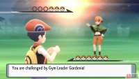 Gardenia specializes in Grass-types.