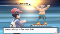 Gym Leader Crasher Wake.